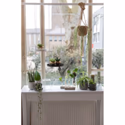 Esschert Design 8714982110436 vase Autres Verre Gris, Transparent