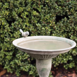 Esschert Design AM80 baignoire pour oiseaux