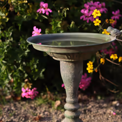 Esschert Design AM80 baignoire pour oiseaux