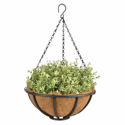 Esschert Design BPH72, 305 mm, 305 mm, 130 mm, 1 pièce(s)