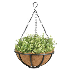 Esschert Design BPH72 pot à fleurs