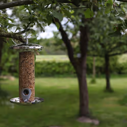Esschert Design FB393 mangeoire pour oiseau