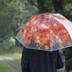 Esschert Design TP242 parapluie - Vue supplémentaire 5