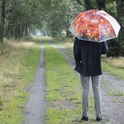 Esschert Design TP242 parapluie - Vue supplémentaire 6