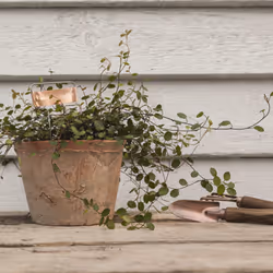 Esschert Design GT140 accessoire de plantation