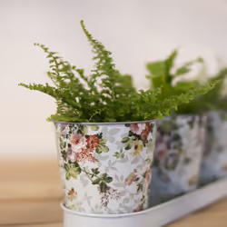Esschert Design RD49 jardinière Blanc Métal 1 pièce(s)