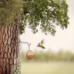 Esschert Design FB415 mangeoire pour oiseau