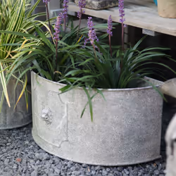 Esschert Design AM108 jardinière 1 pièce(s)