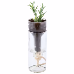 Esschert Design AGG46, 75 mm, 75 mm, 210 mm, 12 pièce(s)