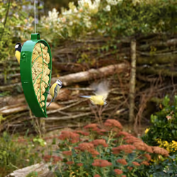Esschert Design FB426 mangeoire pour oiseau