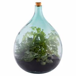 Esschert Design AGG49 terrarium pour reptiles et amphibiens