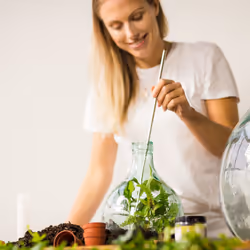 Esschert Design AGG61 accessoire de terrariums pour reptiles et amphibiens