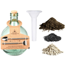 Esschert Design AGG62 terrarium pour reptiles et amphibiens