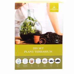 Esschert Design AGG62 terrarium pour reptiles et amphibiens