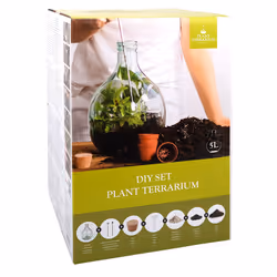 Esschert Design AGG62 terrarium pour reptiles et amphibiens