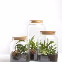 Esschert Design AGG68 vase Vase en forme d'amphore Verre Transparent