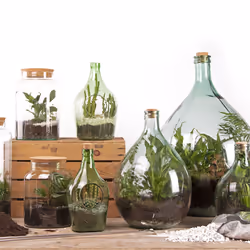 Esschert Design AGG68 vase Vase en forme d'amphore Verre Transparent - Vue supplémentaire 5