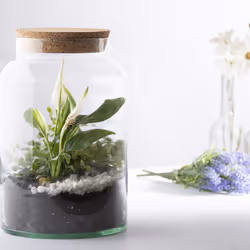 Esschert Design AGG69 vase Vase en forme d'amphore Verre Transparent