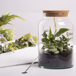 Esschert Design AGG69 vase Vase en forme d'amphore Verre Transparent