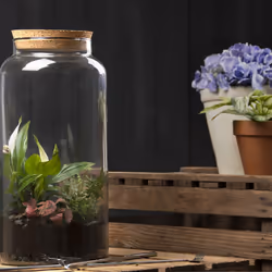 Esschert Design AGG70 vase Vase en forme d'amphore Verre Transparent