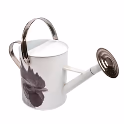 Esschert Design TP345 Arrosoir