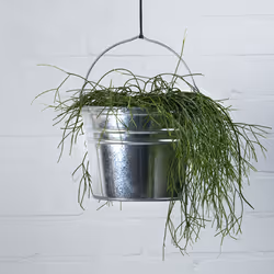 Esschert Design OZ72 seau et bac pour la construction