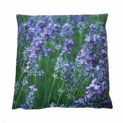 Esschert Design BK025 Coussin et oreiller d'extérieur