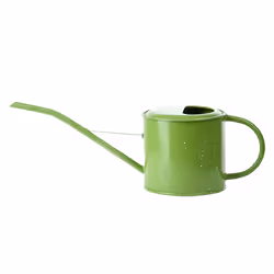 Esschert Design EL120 Arrosoir 1,35 L Vert