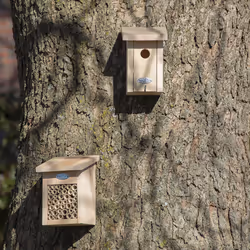 Esschert Design NK92 abri pour oiseau - Vue supplémentaire 14