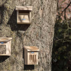 Esschert Design NK95 abri pour oiseau - Vue supplémentaire 12