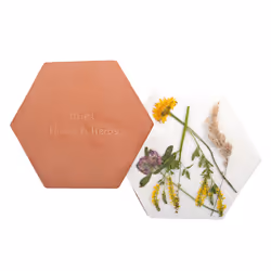 Esschert Design FH015 conservateur d'herbes aromatiques