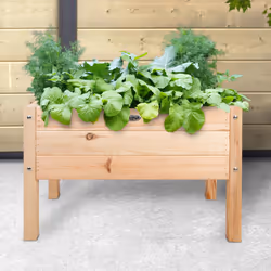 Esschert Design KG224 jardinière surélevée Lit de légumes Bois Rectangle