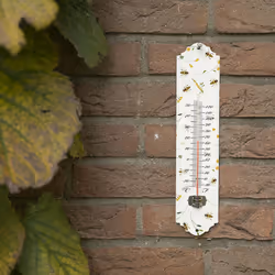 Esschert Design BEE032 thermomètre environnement