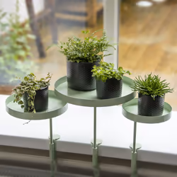 Esschert Design Plateau rebord de fenêtre rond vert L