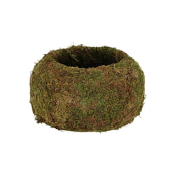 Esschert Design - Kokedama boule de mousse 9 cm