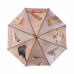 Esschert Design TP387 parapluie