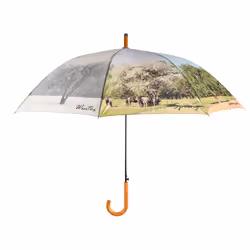 Esschert Design TP388, 1200 mm, 1200 mm, 950 mm, 12 pièce(s)