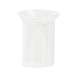 Vase germination H12 cm