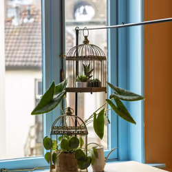 Esschert Design AM117 cage et trépied pour oiseaux