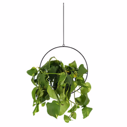 Esschert Design PY148 pot à fleurs