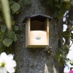 Esschert Design NK105 abri pour oiseau