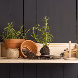 Esschert Design NG133 étagères Tablette flottante Mural Bois