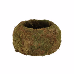 Décorez votre maison avec des accessoires dépaysants : le Kokedama boule de mousse 15cm ! Cette boule de mousse convient aux ...