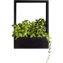 Esschert Design - Cadre mural en fer pour plantes Garden 36 x 18 x 50 cm