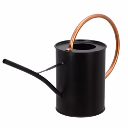 Esschert Design TG362, 1,64 L, Fer, Noir
