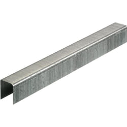 Senco - Agrafe AT-80 galvanisée - 8 mm - Boite de 24 000 AT04BAAP