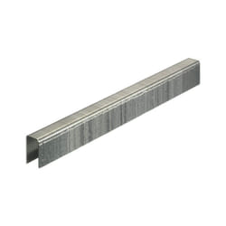 22000 agrafes g Senco G08BAAP 12mm