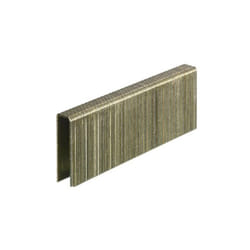 Agrafes moyennes 29mm boîte de 5500 Senco M14BAB