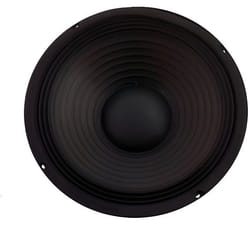 Skytec SP1000 Haut-parleur 10 pouces (25 cm) - 300 Watts max Suspension dure Bobine résistante à la chaleur Aimant ventilé