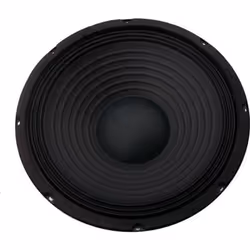 Skytec SP1000 Haut-parleur 10 pouces (25 cm) - 250 Watts max Suspension dure Bobine résistante à la chaleur Aimant ventilé